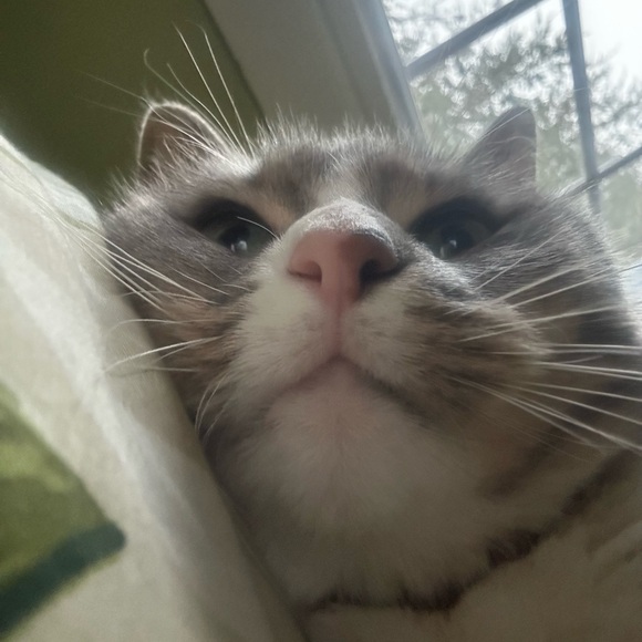 Meet your Posher, Gloria - Picture 5 of 5